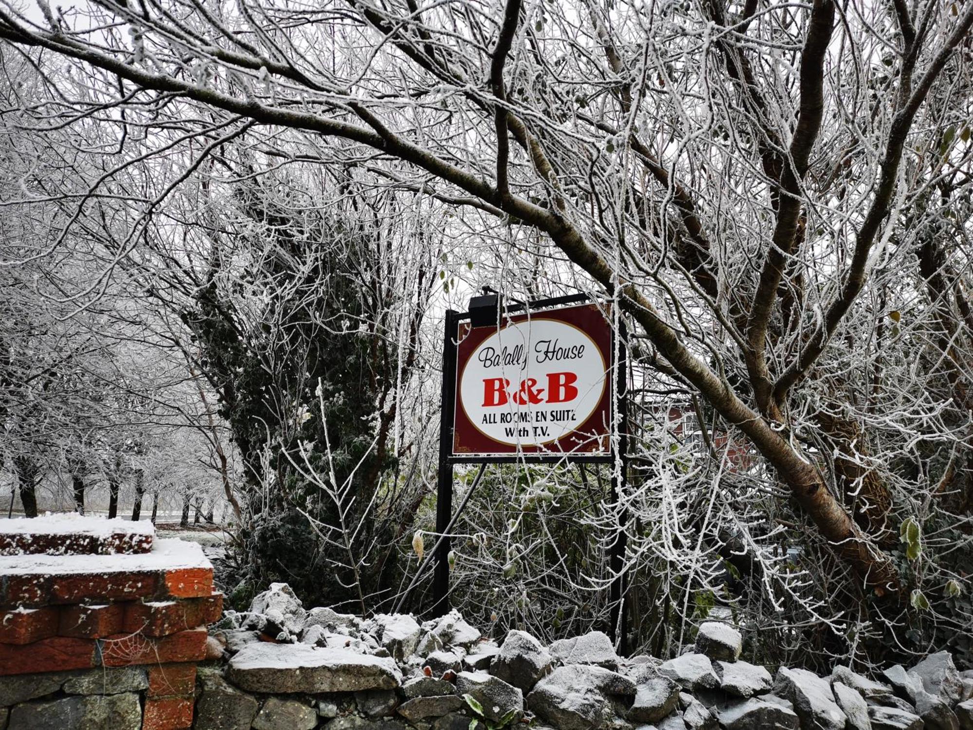 Bed and breakfast Balally House 3*