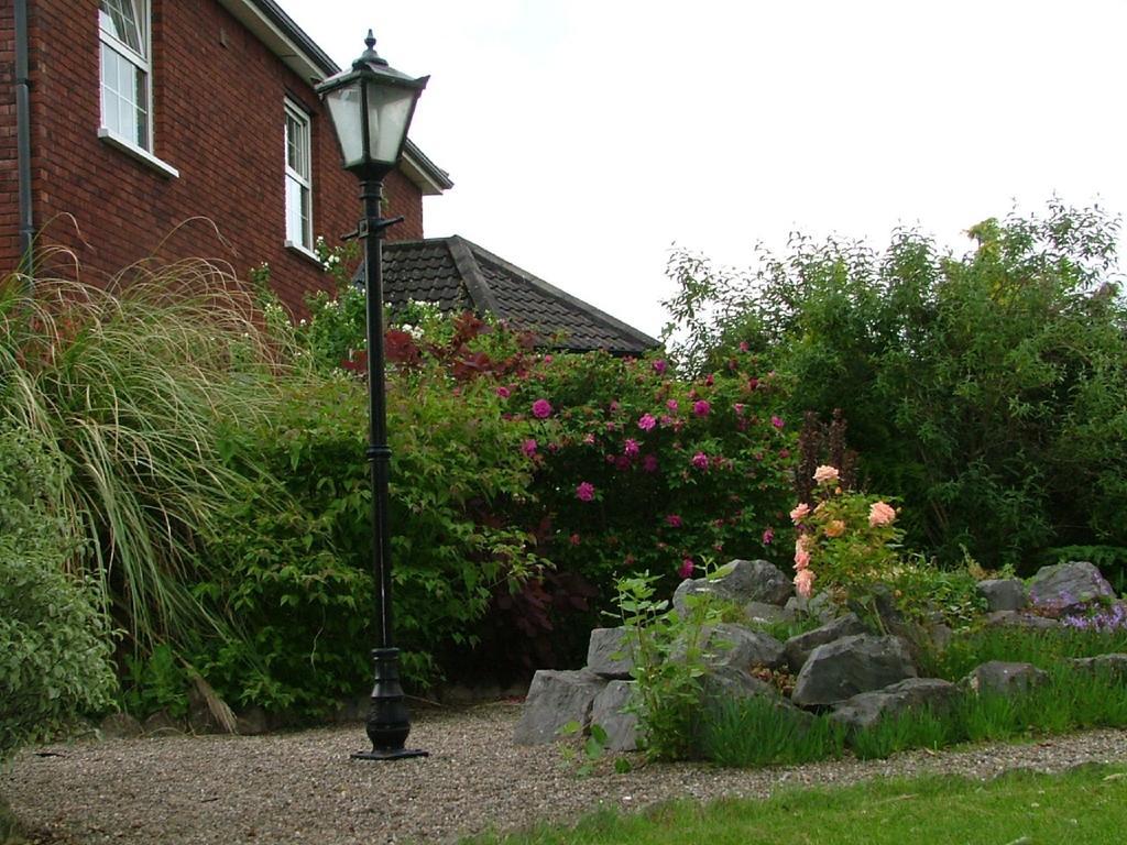 Bed and breakfast Balally House 3*