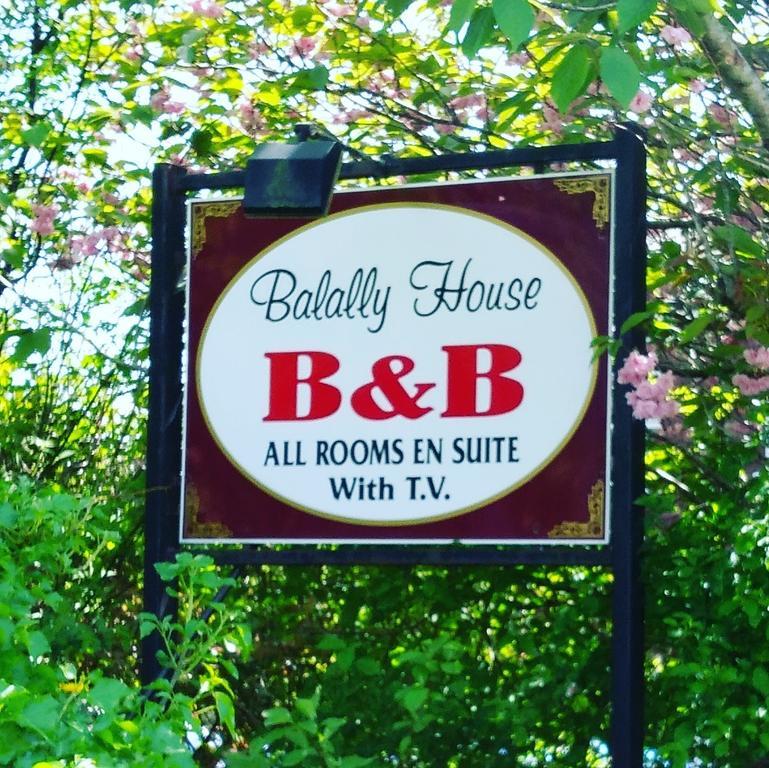 Bed and breakfast Balally House